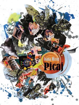 cover image of Picaj